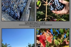 IMG_20181009_195927_193